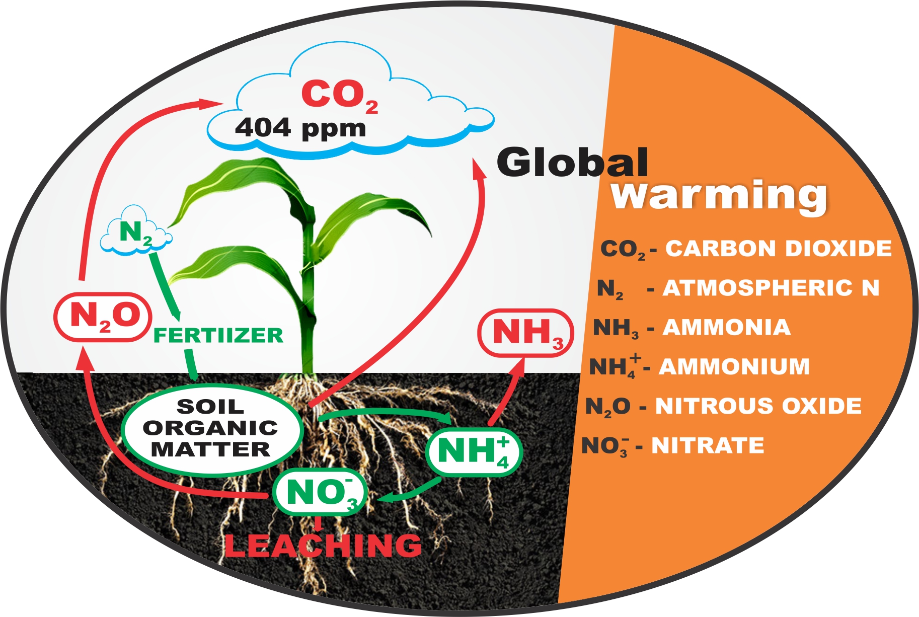 nitrogen-use-efficiency-defined